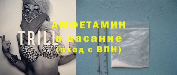 индика Медногорск