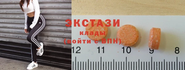 индика Медногорск