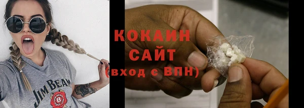 индика Медногорск