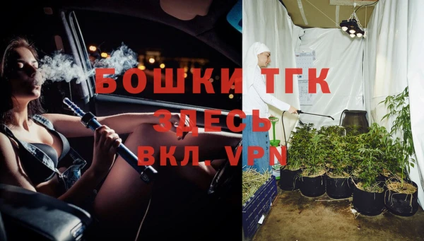 молекула духа Абинск