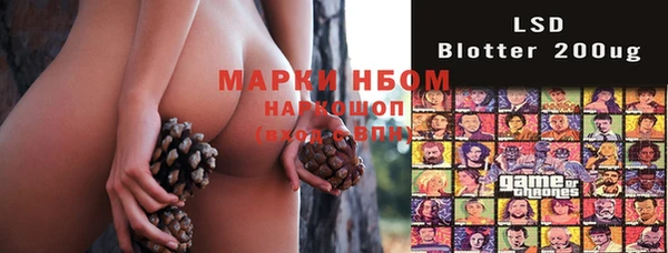 Альфа ПВП Майский