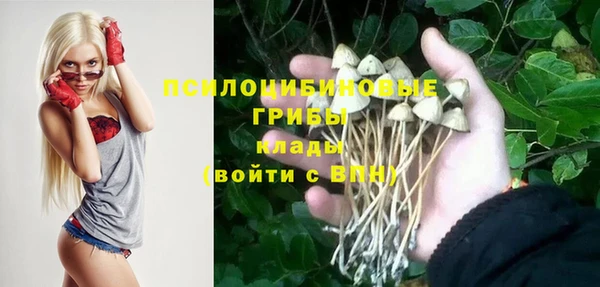 индика Медногорск