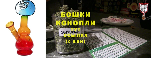 стаф Новокубанск